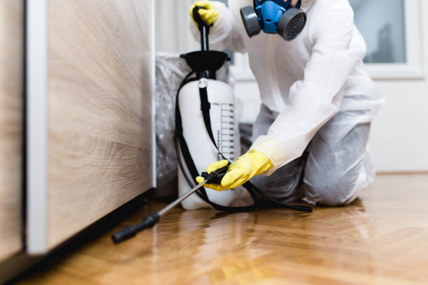 Best Bed Bug Extermination  in Bowmansville, PA