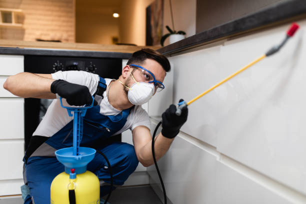 Best Rat Extermination Near Me  in Bowmansville, PA