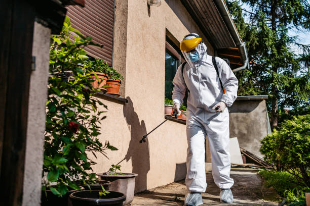 Best Pest Prevention Services  in Bowmansville, PA