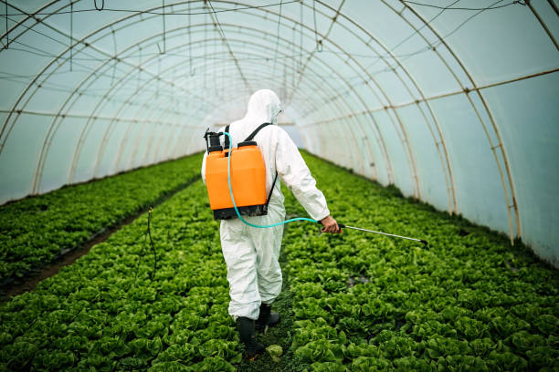 Best Pest Control for Businesses  in Bowmansville, PA