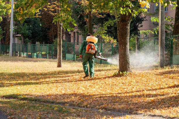 Best Mosquito Control Services  in Bowmansville, PA