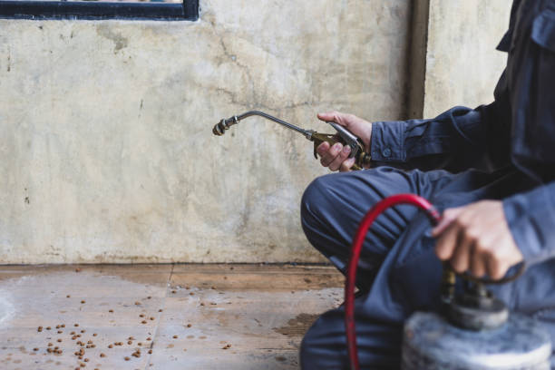 Trusted Bowmansville, PA Pest Control Experts