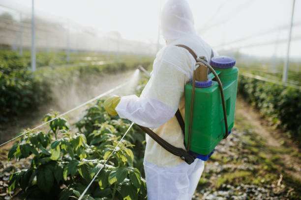 Best Wildlife Control Services  in Bowmansville, PA